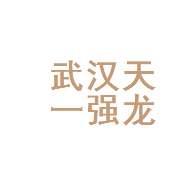 武漢天一強龍稅務代理 專業(yè)服務助力企業(yè)穩(wěn)健發(fā)展